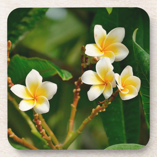 Dessous-de-verre Frangipani jaune (Devant)