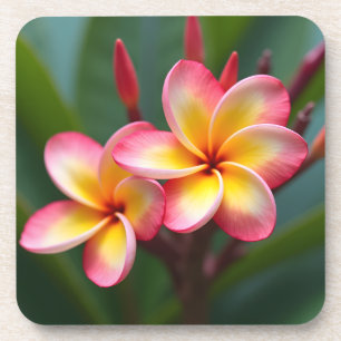 Dessous-de-verre Frangipani Nain Tri Couleur Délice