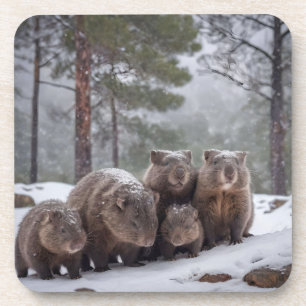 Dessous-de-verre Frozen Burrow : famille australienne Wombat
