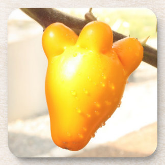 Dessous-de-verre Fruit Visage Renard