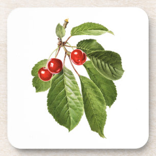 Dessous-de-verre Fruits : A015 Cerise -