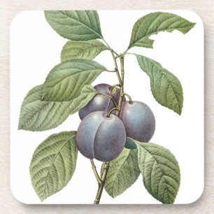 Dessous-de-verre Fruits alimentaires vintage, prunes de jardin viol