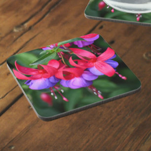 Dessous-de-verre Fuchsia violette avec sépales roses Floral