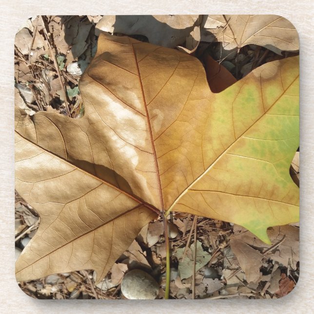 Dessous-de-verre galets et feuilles (Devant)