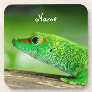 Dessous-de-verre Gecko de la Journée verte - Phelsuma grandis