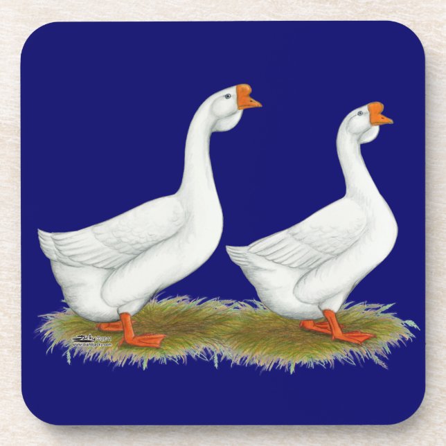 Dessous-de-verre Geese de l'Afrique blanche (Devant)
