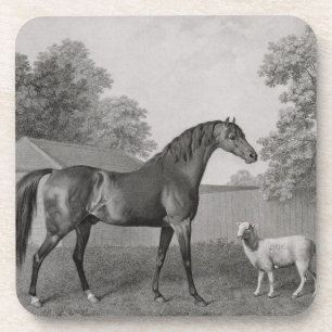Dessous-de-verre George Stubbs   Dungannon, gravé par George Town