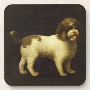Dessous-de-verre George Stubbs un épagneul d'eau, 1769 (huile su