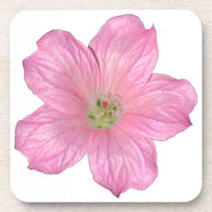 Dessous-de-verre Géranium rose