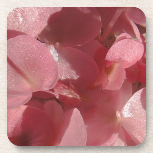Dessous-de-verre Géranium rose : presque solide Rose clair