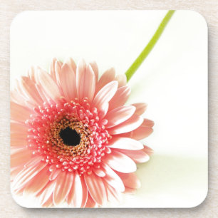 Dessous-de-verre Gerbera