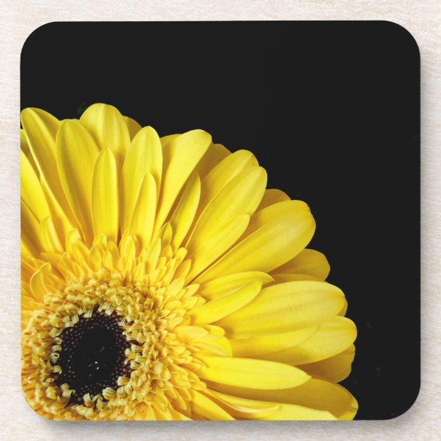 Dessous-de-verre Gerbera Flower (Devant)
