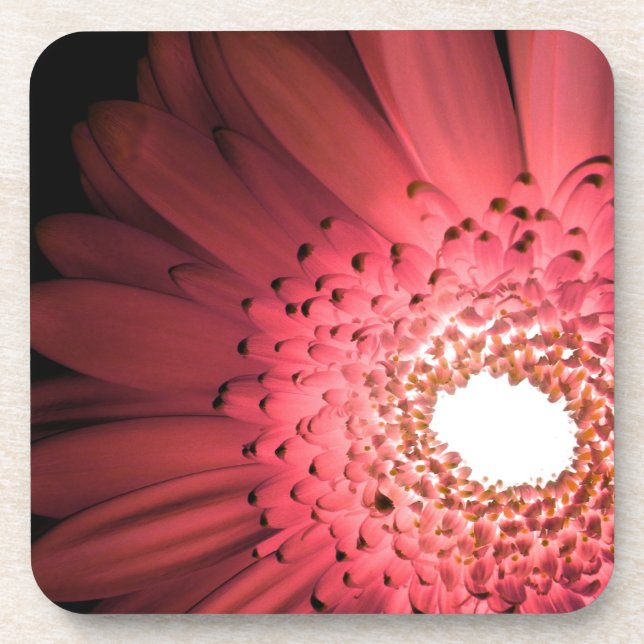 Dessous-de-verre Gerbera marguerite (Devant)