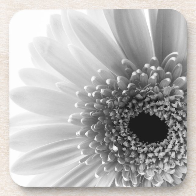 Dessous-de-verre Gerbera marguerite (Devant)