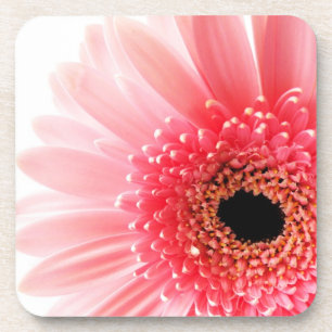Dessous-de-verre Gerbera marguerite