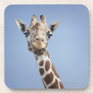 Dessous-de-verre Girafe 2