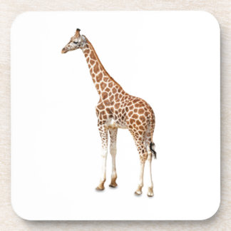 Dessous-de-verre Girafe à long cou