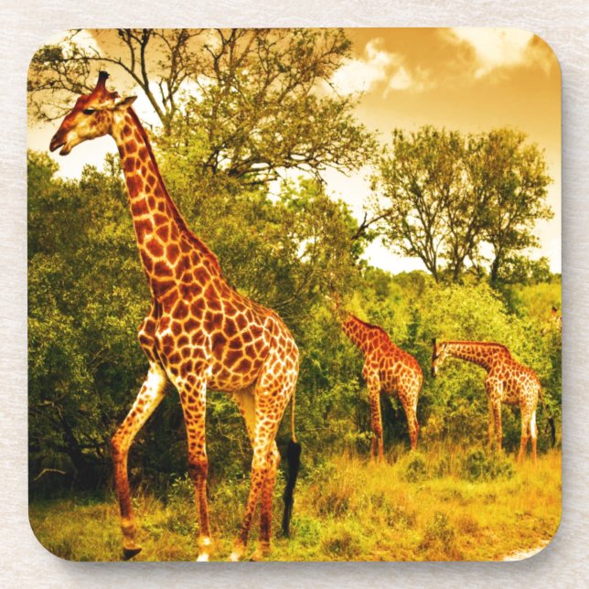 Dessous-de-verre Girafes sud-africaines (Devant)