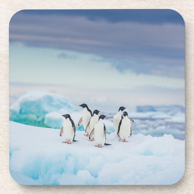 Dessous-de-verre Glace et neige | Adelie Penguins Antarctique (Devant)