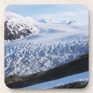 Dessous-de-verre Glacier Exit dans le parc national des fjords de K