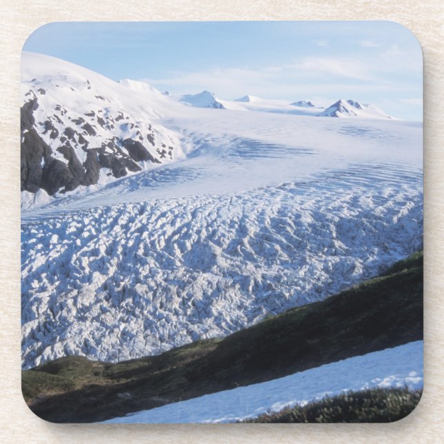 Dessous-de-verre Glacier Exit dans le parc national des fjords de K (Devant)