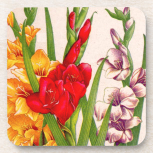 Dessous-de-verre gladiola fleurs gladioli