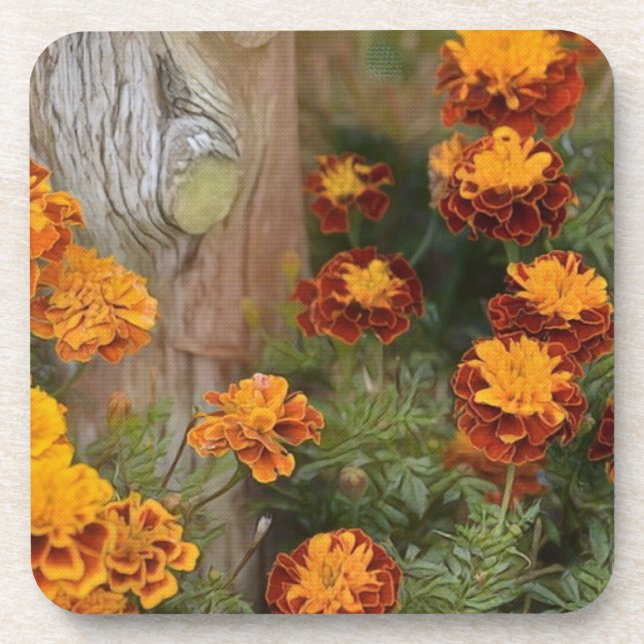 Dessous-de-verre Glorious Marigolds (Devant)