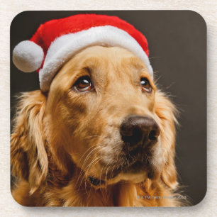 Dessous-de-verre Golden retriever posant pour son Noël