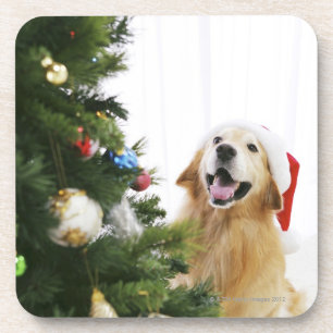 Dessous-de-verre Golden retriever qui observe l'arbre de Noël