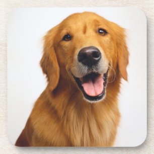 Dessous-de-verre Golden Retriever Smile