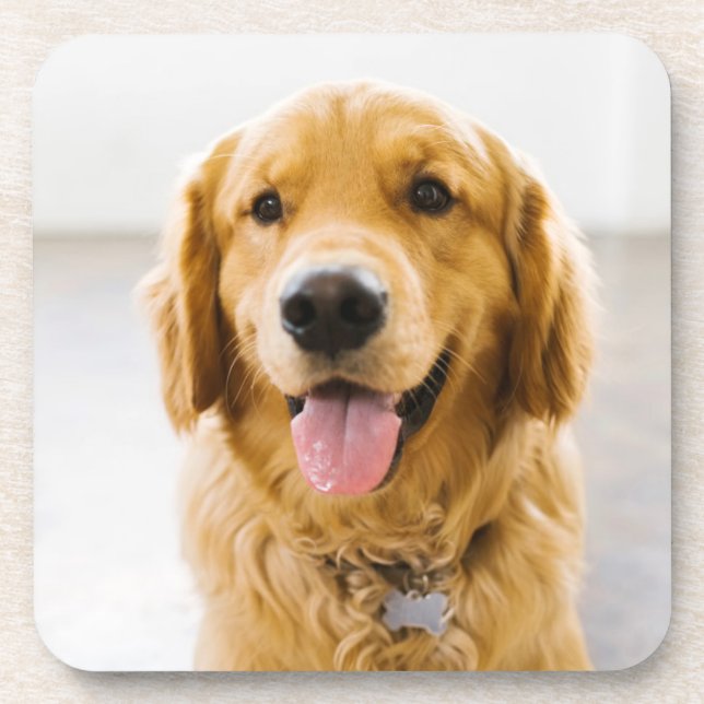 Dessous-de-verre Golden Retriever souriant (Devant)