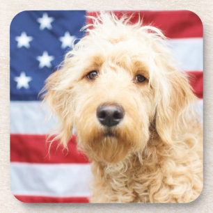 Dessous-de-verre Goldendoodle avec drapeau américain
