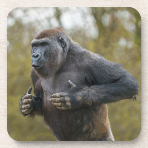 Dessous-de-verre Gorille de la balle dans la poitrine