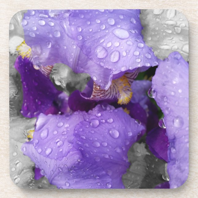 Dessous-de-verre gouttes d'eau sur iris (Devant)
