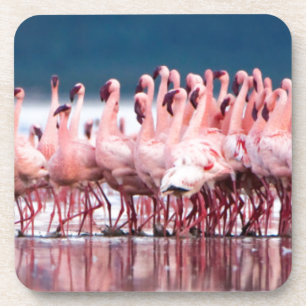Dessous-de-verre Grand Groupe De Petits Flamants