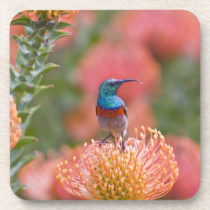 Dessous-de-verre Grand oiseau-soleil à col double