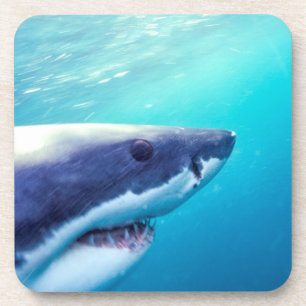 Dessous-de-verre Grand requin blanc Afrique du Sud