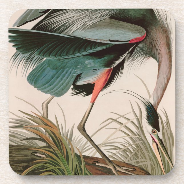 Dessous-de-verre Great Blue Heron Birds of America Audubon Imprimer (Devant)