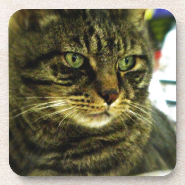 Dessous-de-verre Green Eyed Tabby Face (Devant)