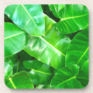 Dessous-de-verre Green feuille Palm Leaf feuillage tropical jungle