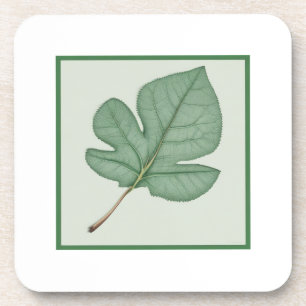 Dessous-de-verre Green leaf