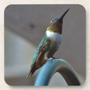 Dessous-de-verre Green ruby little hummingbird