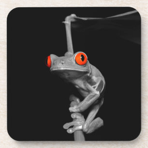 Dessous-de-verre Grenouille d'arbre observée par rouge