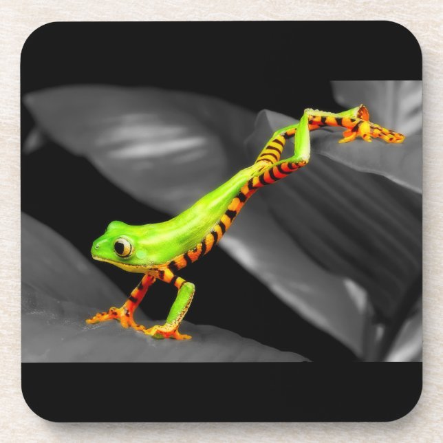 Dessous-de-verre Grenouille d'arbre sautante (Devant)