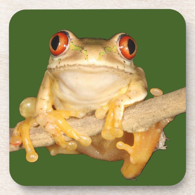 Dessous-de-verre Grenouille des arbres (Devant)