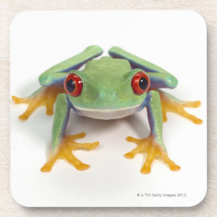 Dessous-de-verre Grenouille femelle