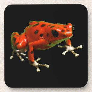 Dessous-de-verre Grenouille rouge poison