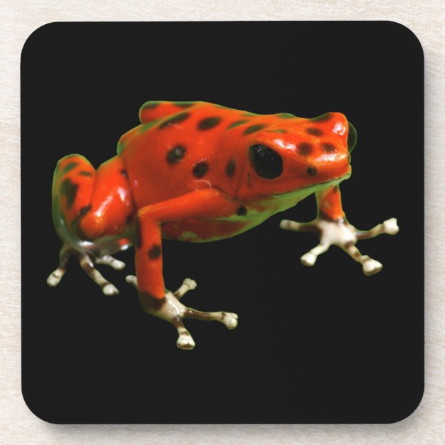Dessous-de-verre Grenouille rouge poison (Devant)