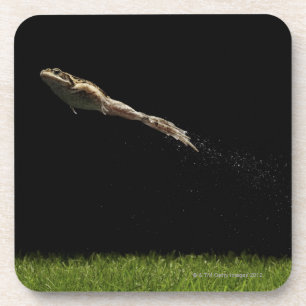 Dessous-de-verre grenouille sautant outre de l'herbe verte fraîche