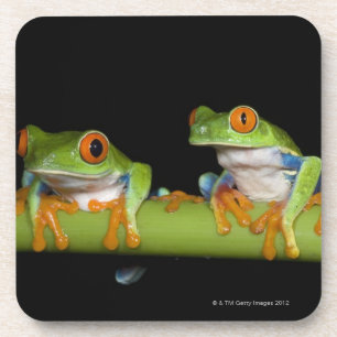 Dessous-de-verre Grenouilles d'arbre aux yeux rouges (callidryas